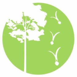 Tailand logo